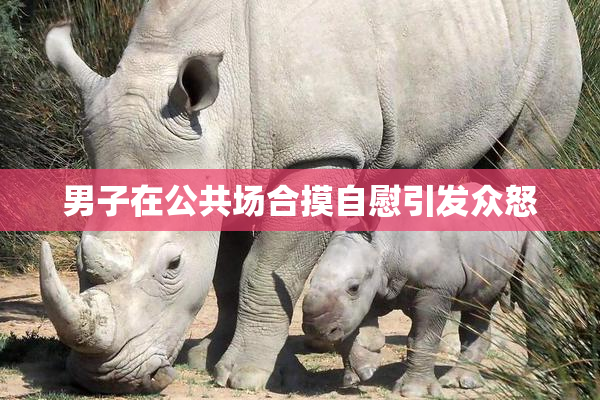 男子在公共场合摸自慰引发众怒