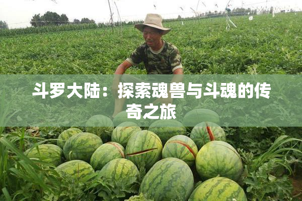 斗罗大陆：探索魂兽与斗魂的传奇之旅