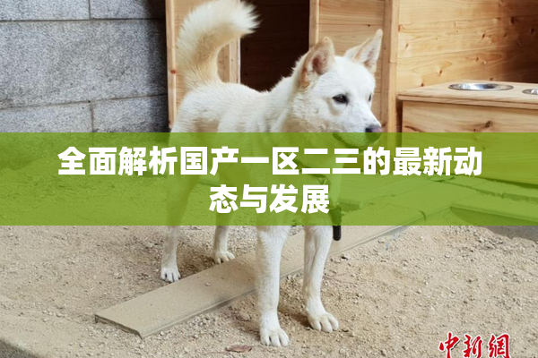 全面解析国产一区二三的最新动态与发展