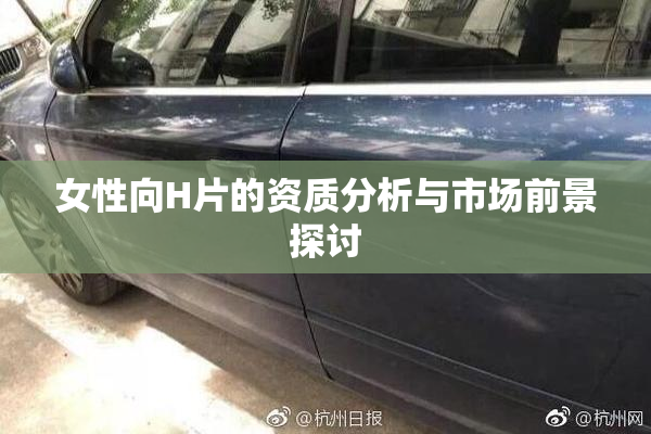 女性向H片的资质分析与市场前景探讨