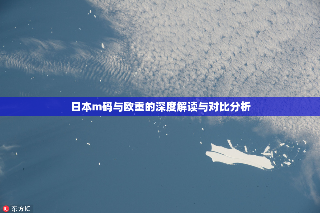 日本m码与欧重的深度解读与对比分析