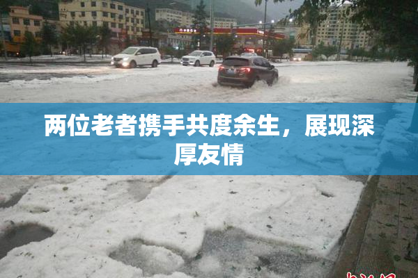 两位老者携手共度余生，展现深厚友情