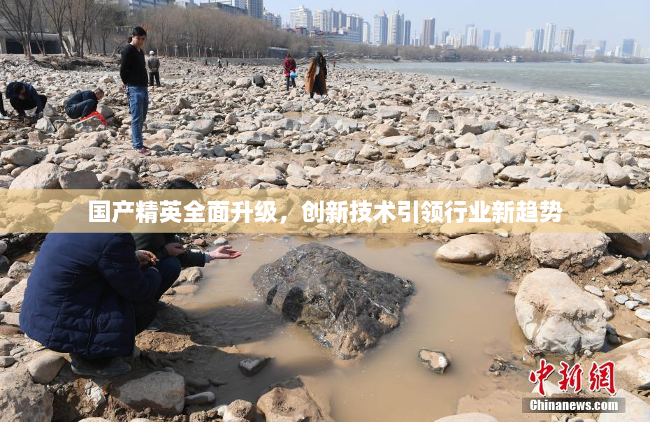 国产精英全面升级，创新技术引领行业新趋势
