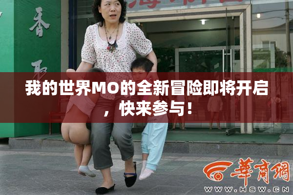 我的世界MO的全新冒险即将开启，快来参与！
