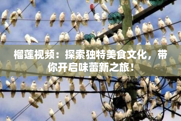 榴莲视频：探索独特美食文化，带你开启味蕾新之旅！