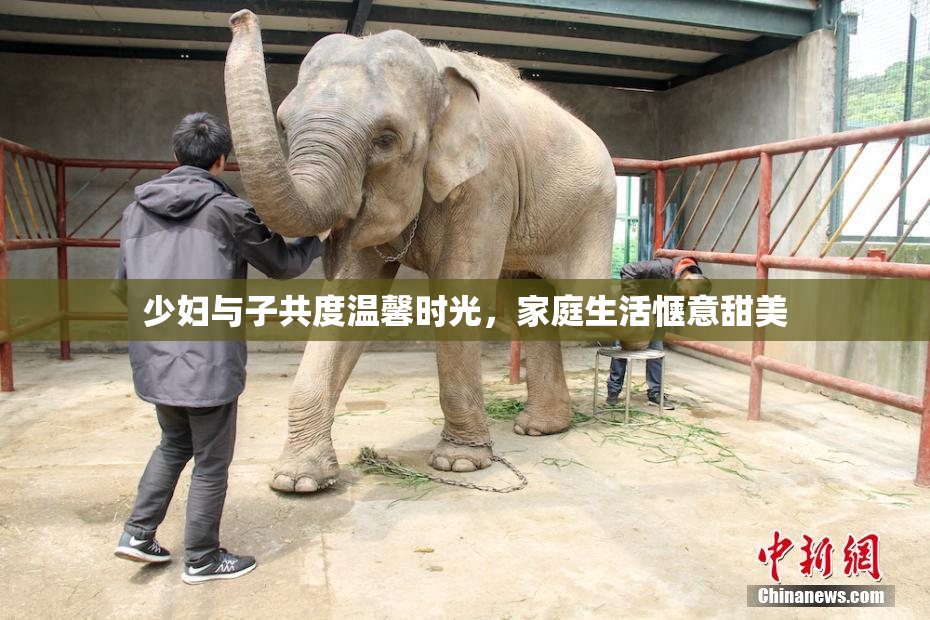 少妇与子共度温馨时光，家庭生活惬意甜美