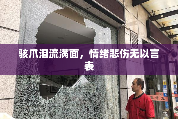 骇爪泪流满面，情绪悲伤无以言表