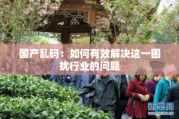 国产乱码：如何有效解决这一困扰行业的问题