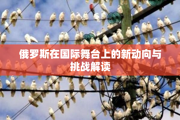 俄罗斯在国际舞台上的新动向与挑战解读