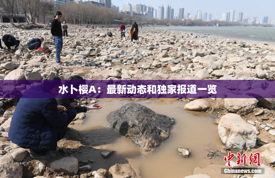 水卜樱A：最新动态和独家报道一览