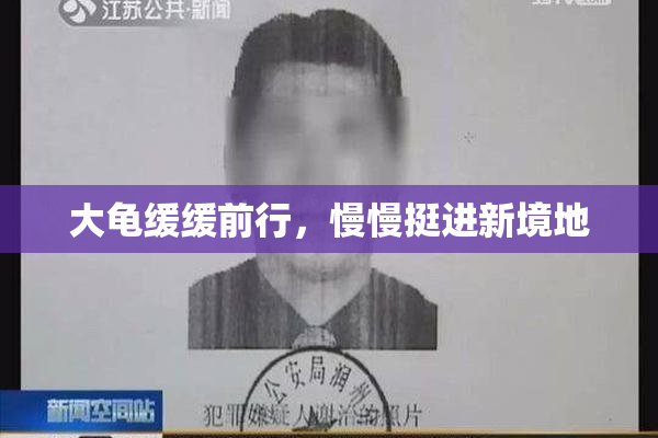 大龟缓缓前行，慢慢挺进新境地