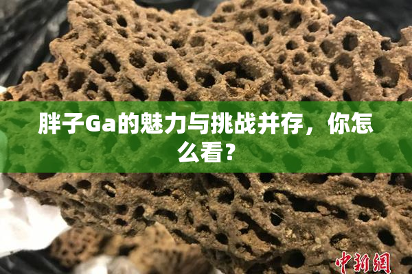 胖子Ga的魅力与挑战并存，你怎么看？