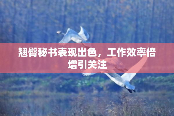 翘臀秘书表现出色，工作效率倍增引关注