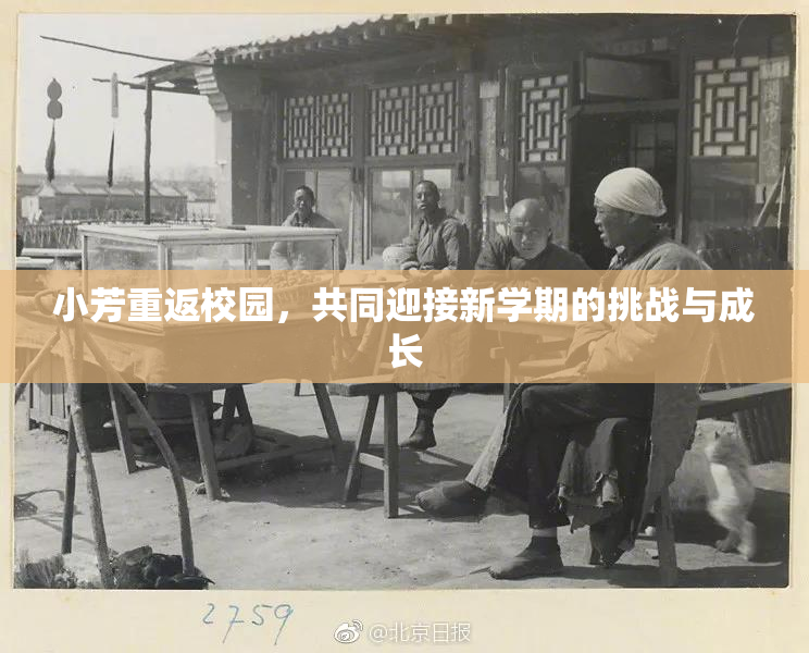 小芳重返校园，共同迎接新学期的挑战与成长