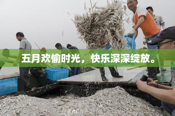 五月欢愉时光，快乐深深绽放。