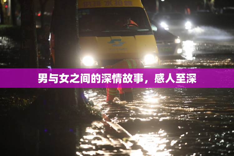 男与女之间的深情故事，感人至深