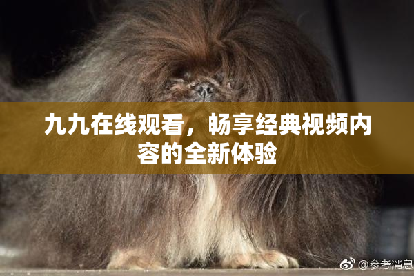 九九在线观看，畅享经典视频内容的全新体验