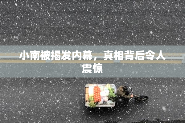 小南被揭发内幕，真相背后令人震惊