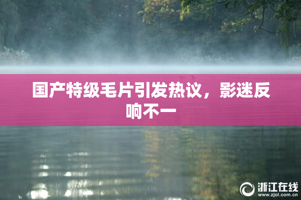 国产特级毛片引发热议，影迷反响不一