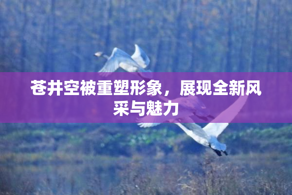 苍井空被重塑形象，展现全新风采与魅力