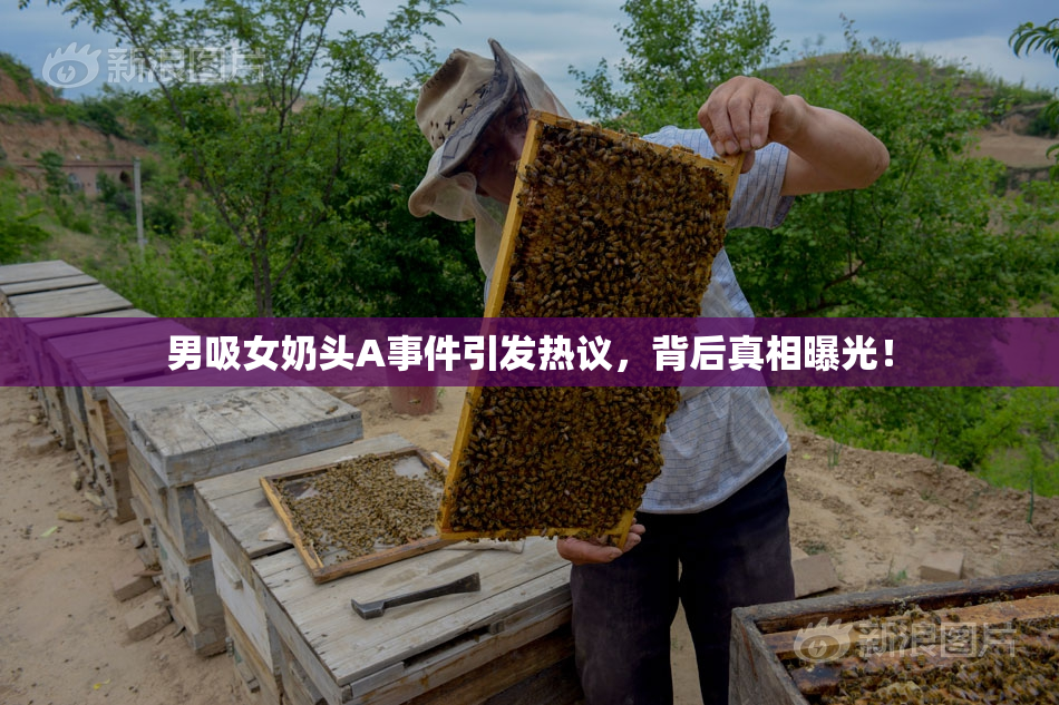 男吸女奶头A事件引发热议，背后真相曝光！