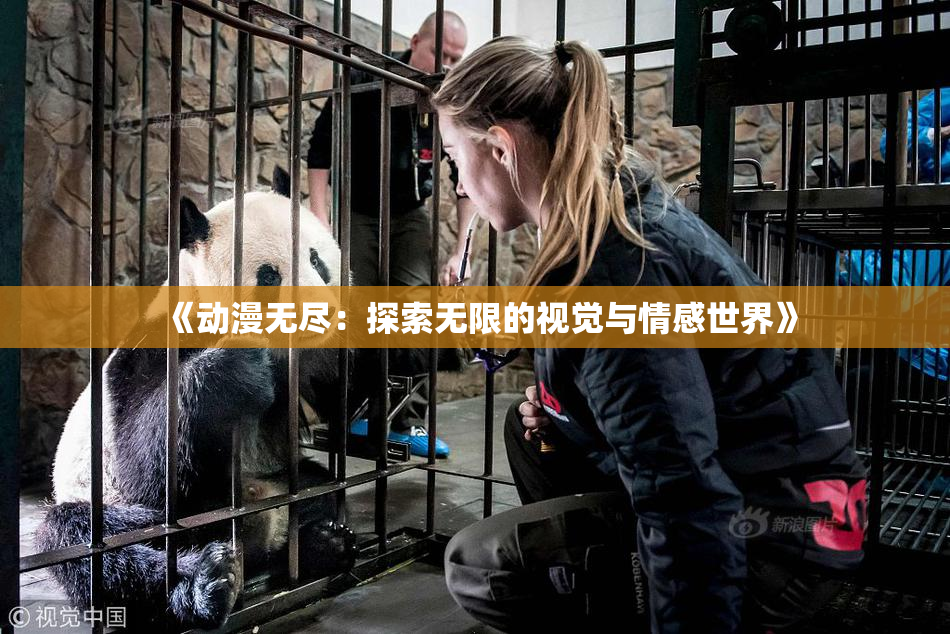 《动漫无尽：探索无限的视觉与情感世界》