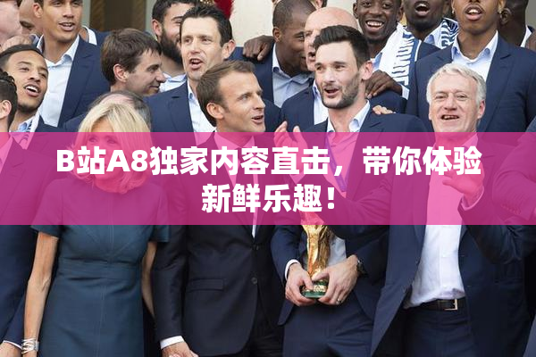 B站A8独家内容直击，带你体验新鲜乐趣！