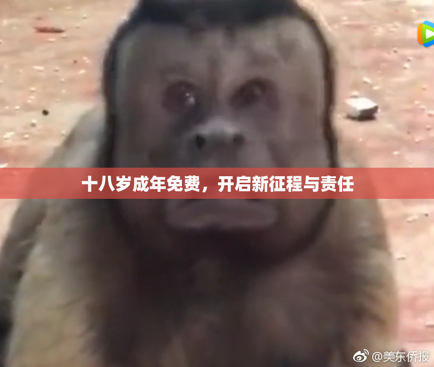 十八岁成年免费，开启新征程与责任