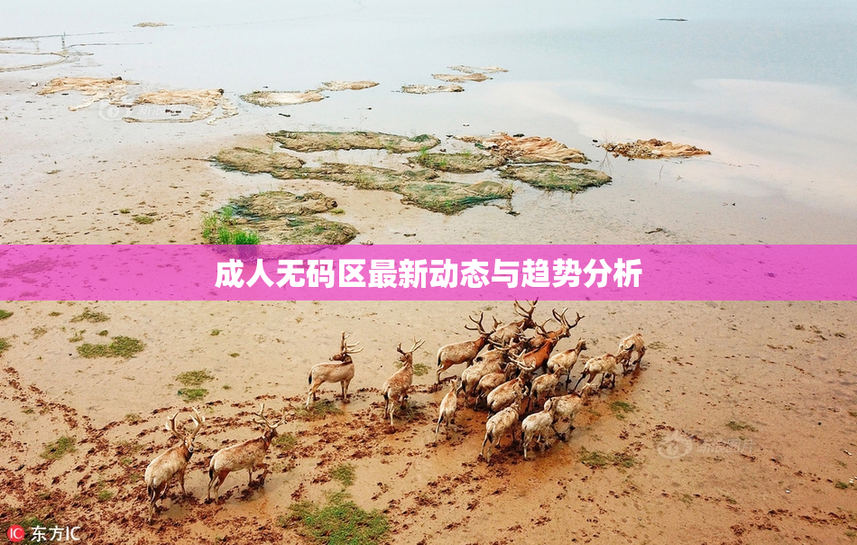 成人无码区最新动态与趋势分析