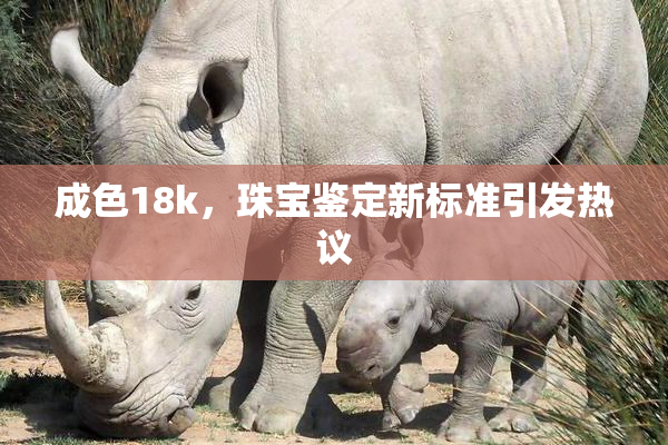 成色18k，珠宝鉴定新标准引发热议