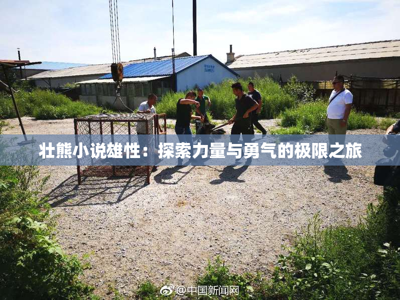 壮熊小说雄性：探索力量与勇气的极限之旅