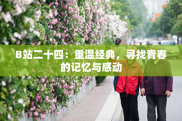 B站二十四：重温经典，寻找青春的记忆与感动
