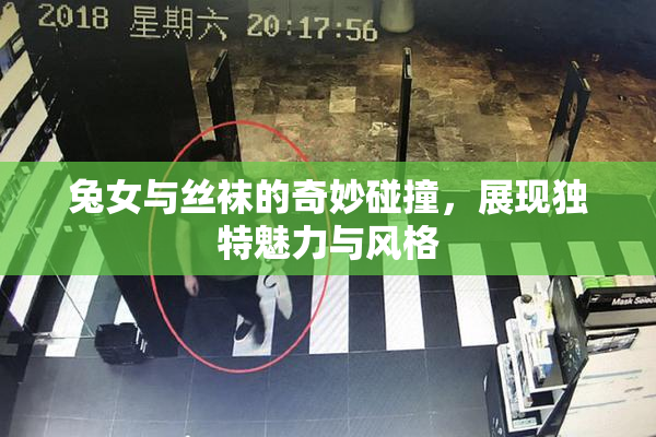 兔女与丝袜的奇妙碰撞，展现独特魅力与风格