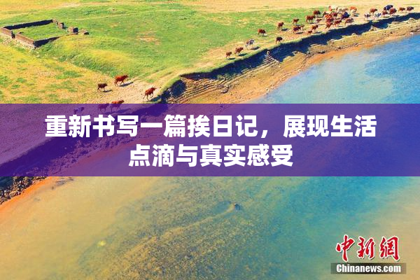 重新书写一篇挨日记，展现生活点滴与真实感受