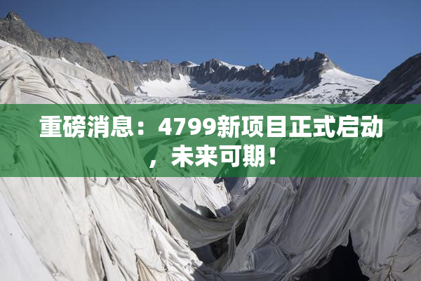 重磅消息：4799新项目正式启动，未来可期！