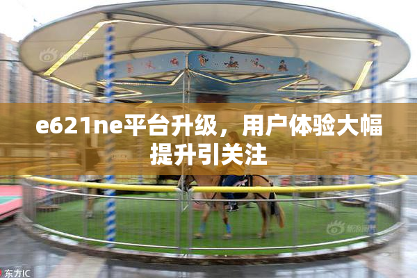 e621ne平台升级，用户体验大幅提升引关注