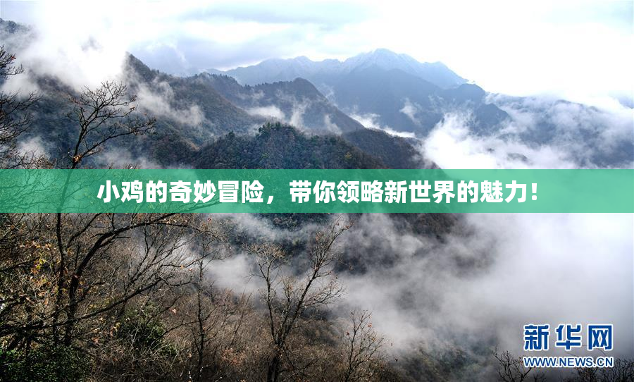 小鸡的奇妙冒险，带你领略新世界的魅力！