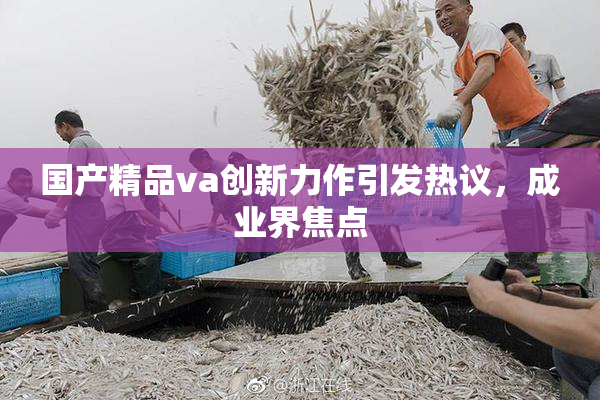 国产精品va创新力作引发热议，成业界焦点