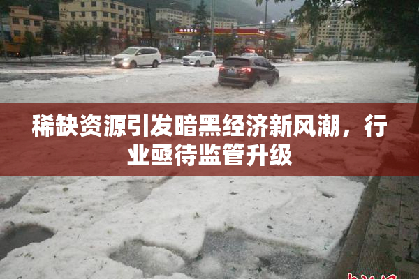 稀缺资源引发暗黑经济新风潮，行业亟待监管升级