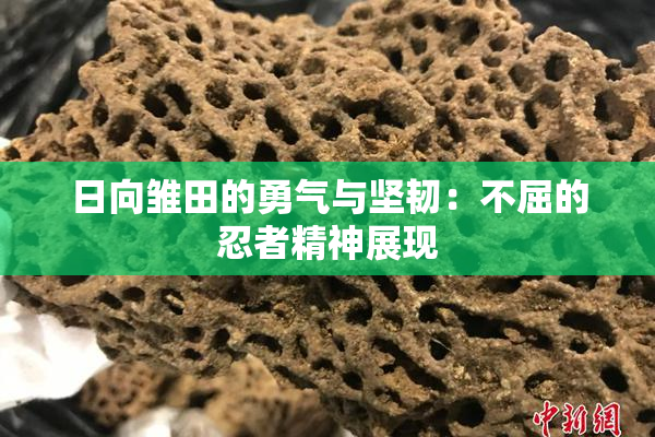 日向雏田的勇气与坚韧：不屈的忍者精神展现