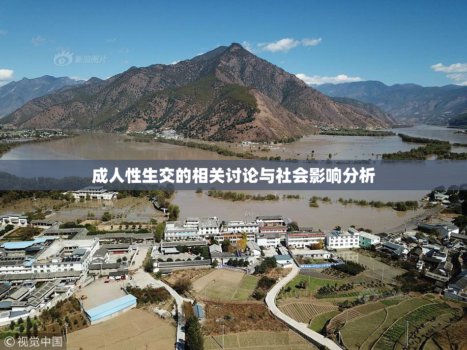 成人性生交的相关讨论与社会影响分析