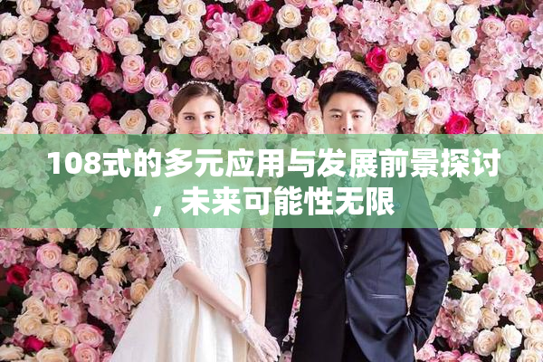 108式的多元应用与发展前景探讨，未来可能性无限