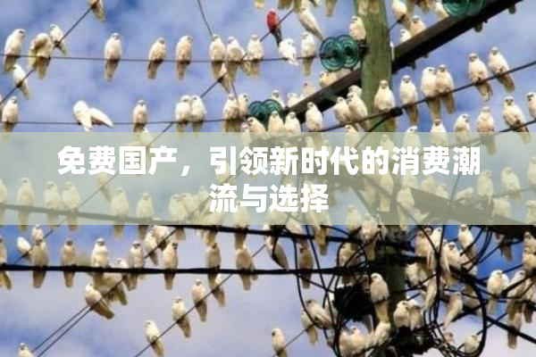 免费国产，引领新时代的消费潮流与选择