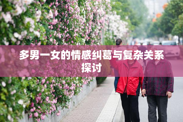 多男一女的情感纠葛与复杂关系探讨