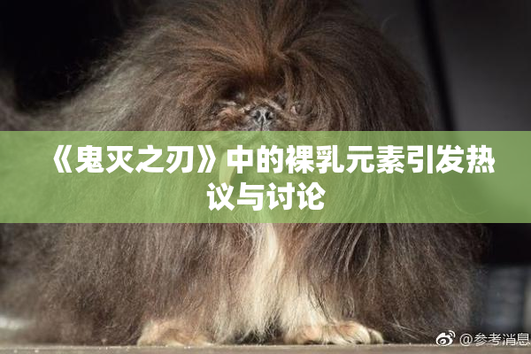 《鬼灭之刃》中的裸乳元素引发热议与讨论