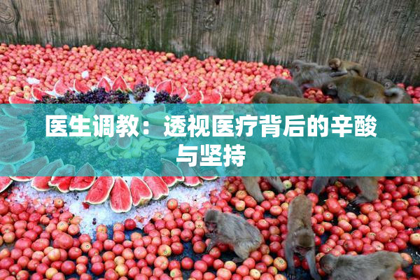 医生调教：透视医疗背后的辛酸与坚持