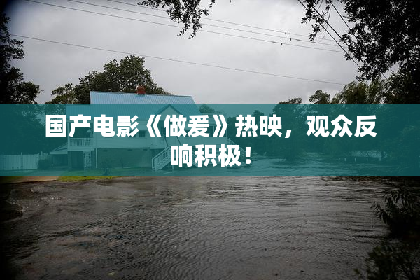 国产电影《做爰》热映，观众反响积极！