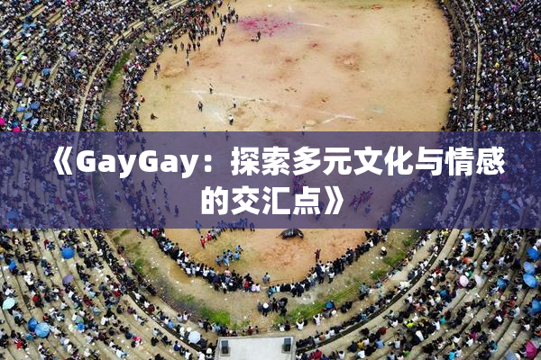 《GayGay：探索多元文化与情感的交汇点》