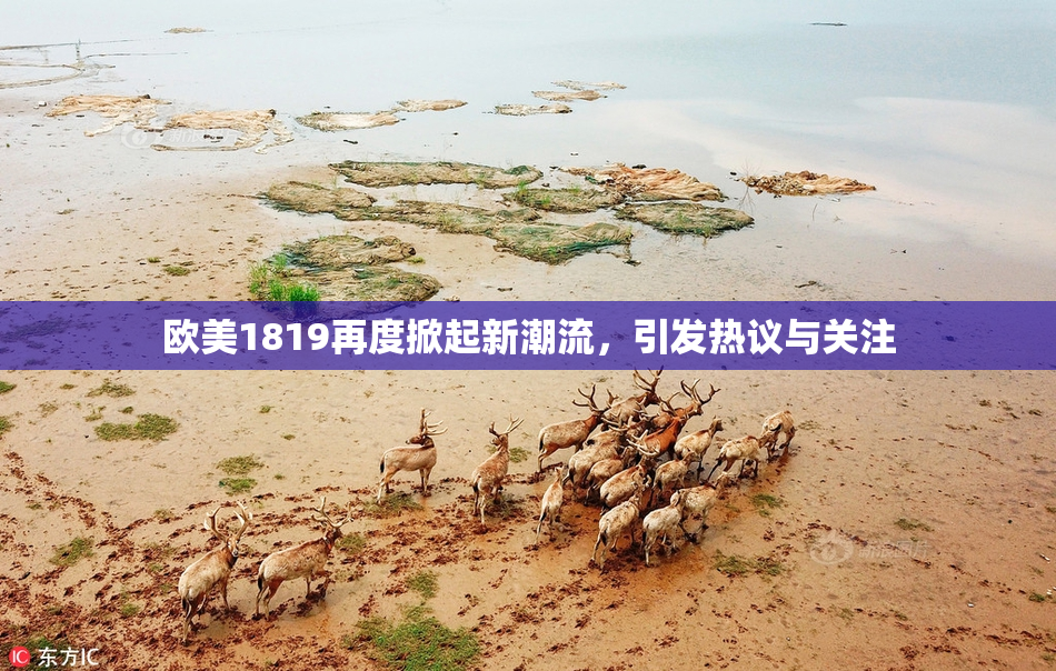 欧美1819再度掀起新潮流，引发热议与关注