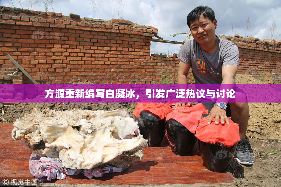 方源重新编写白凝冰，引发广泛热议与讨论